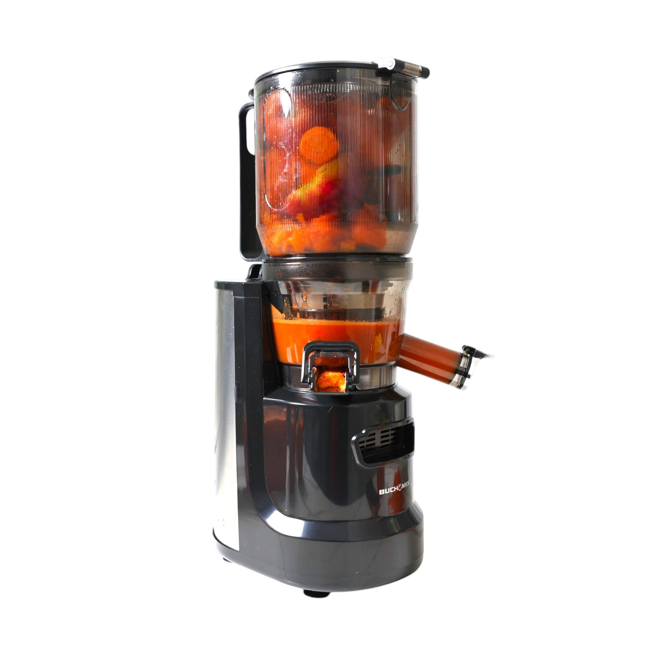 Multifunctional Hands Free Self Feeding Batch Juicer With Heavy Duty AC Motor