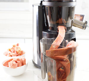 Multifunctional Hands Free Self Feeding Batch Juicer With Heavy Duty AC Motor