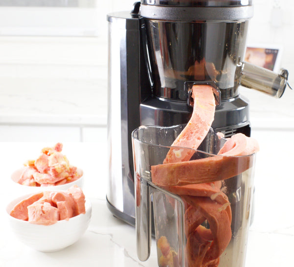 Multifunctional Hands Free Self Feeding Batch Juicer With Heavy Duty AC Motor