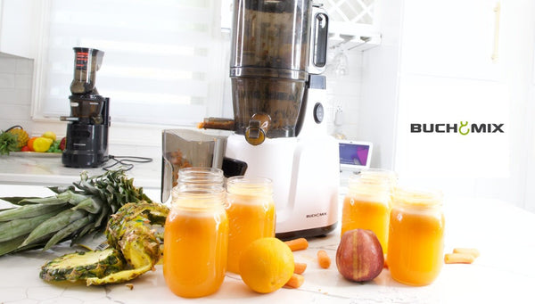 Hands Free Cold Pressed Batch Juicer Heavy Duty Motor with Citrus Juicer - BUCHYMIX NIGERIA