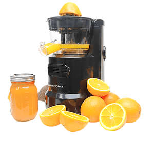 Multifunctional Hands Free Self Feeding Batch Juicer With Heavy Duty AC Motor - BUCHYMIX NIGERIA