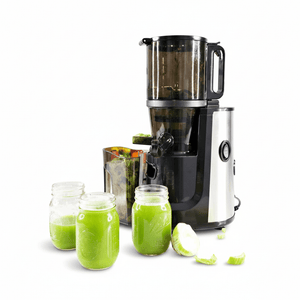 Multifunctional Hands Free Self Feeding Batch Juicer With Heavy Duty AC Motor - BUCHYMIX NIGERIA
