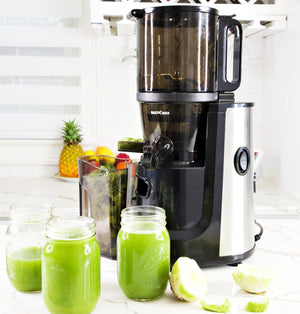 Multifunctional Hands Free Self Feeding Batch Juicer With Heavy Duty AC Motor - BUCHYMIX NIGERIA