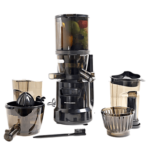 Multifunctional Hands Free Self Feeding Batch Juicer With Heavy Duty AC Motor - BUCHYMIX NIGERIA