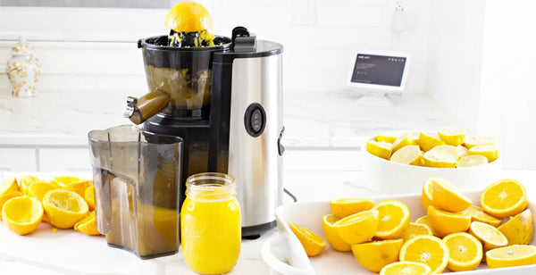 Multifunctional Hands Free Self Feeding Batch Juicer With Heavy Duty AC Motor - BUCHYMIX NIGERIA