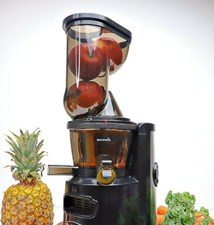Premium Masticating Cold Pressed Juicer With High Torque Motor - BUCHYMIX NIGERIA