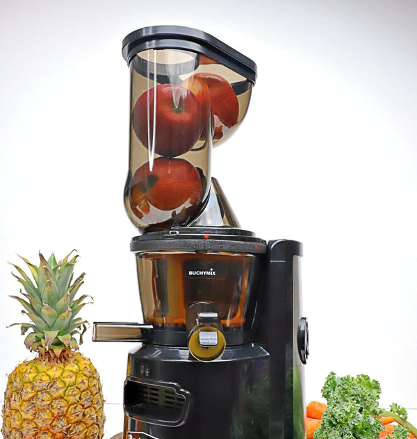 Premium Masticating Cold Pressed Juicer With High Torque Motor - BUCHYMIX NIGERIA