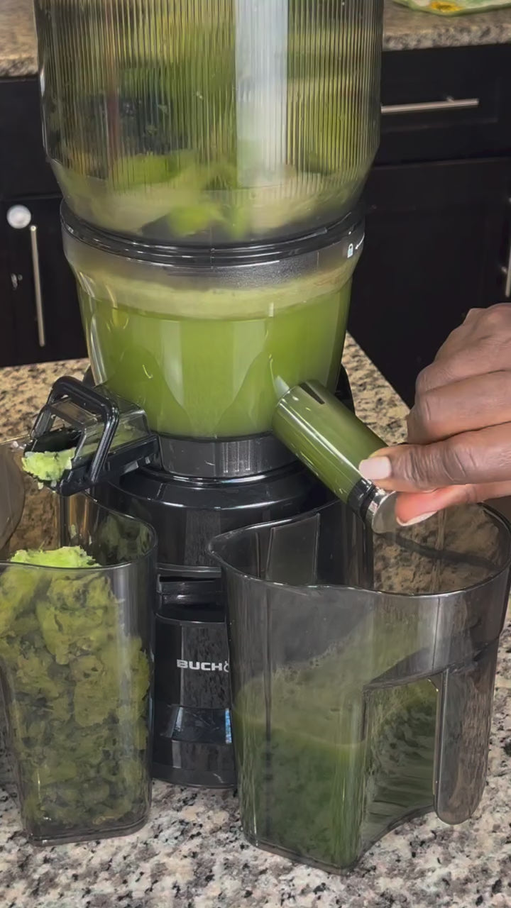 Load video: Multifunctional Hands Free Self Feeding Batch Juicer With Heavy Duty AC Motor
