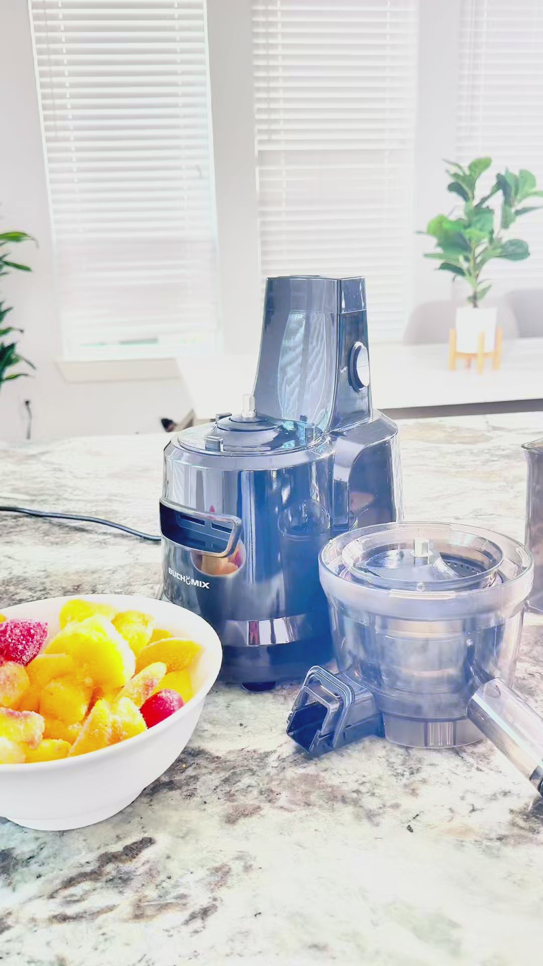 Load video: Multifunctional Hands-Free Cold Pressed Batch Juicer Heavy Duty Motor with Citrus Juicer - BJ10