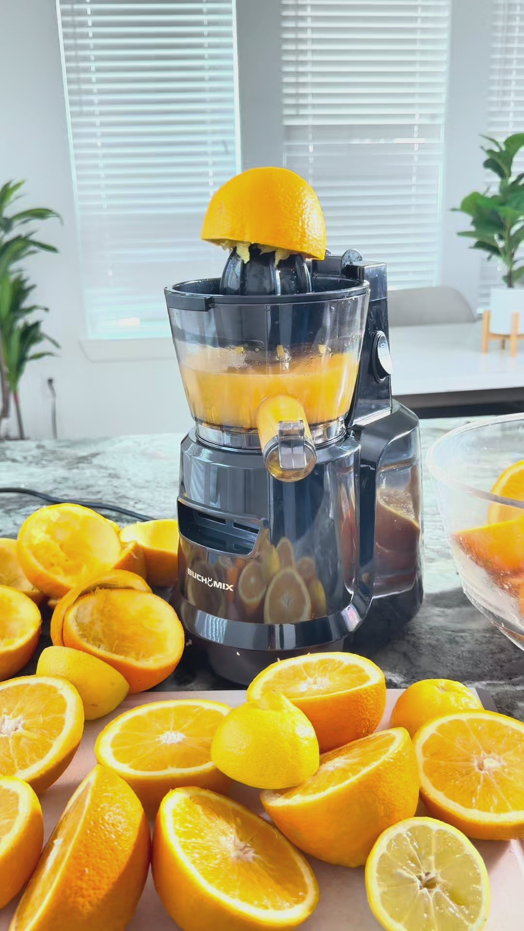 Load video: Multifunctional Hands-Free Cold Pressed Batch Juicer Heavy Duty Motor with Citrus Juicer - BJ10