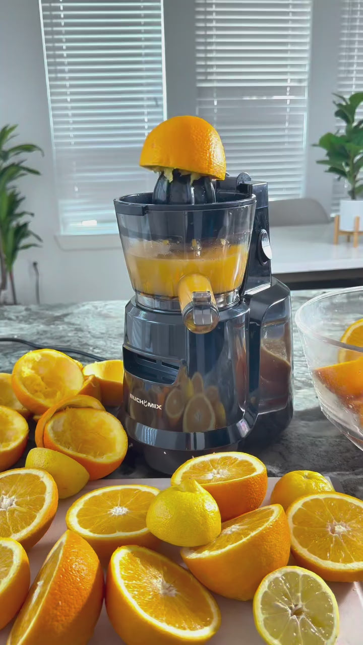Load video: Multifunctional Hands Free Self Feeding Batch Juicer With Heavy Duty AC Motor